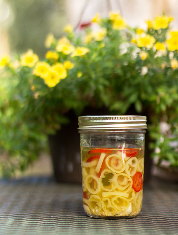 Quick and Easy Pickled Peppers from MJ's Kitchen