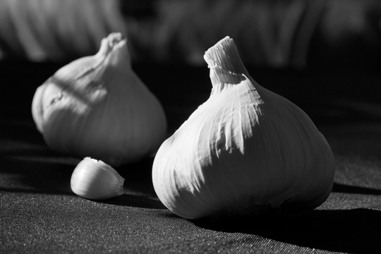 Garlic bulb in black and white | mjskitchen.com