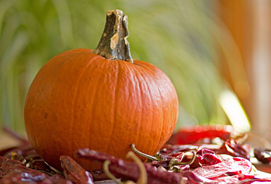 A pumpkin and dried New Mexico red chiles