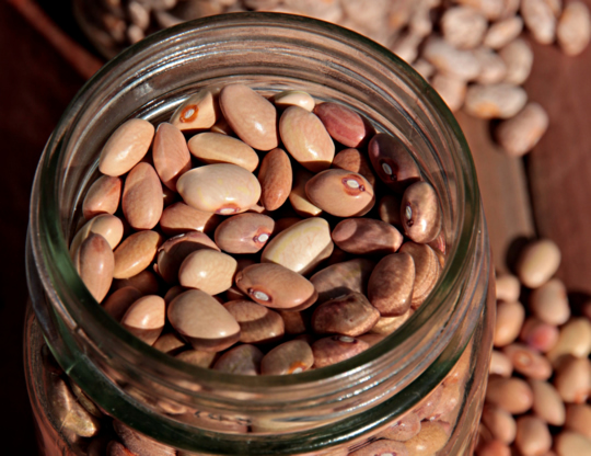 Jar of bolita Beans | mjskitchen.com