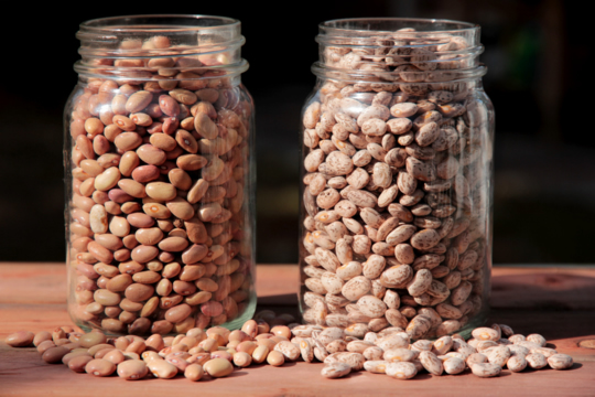Jars of pinto beans and bolita beans | mjskitchen.com