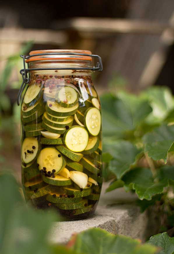Make your own cucumber vinegar with pepper and garlic @mjskitchen #vinegar #cucumber