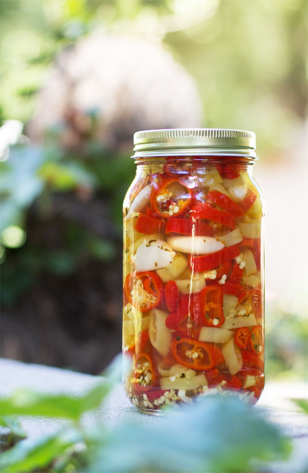 Quick & Easy Pickled Peppers that you'll enjoy year round. #pickled @mjskitchen