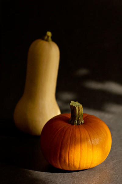 Photo of fall butternut squash and pumpkin