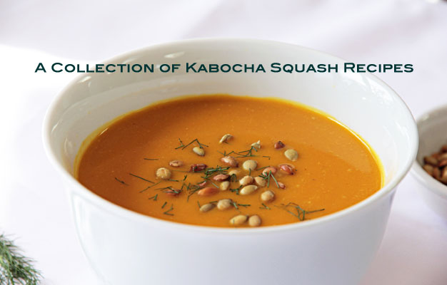 A Collection of Kabocha Squash Recipes | mjskitchen.com