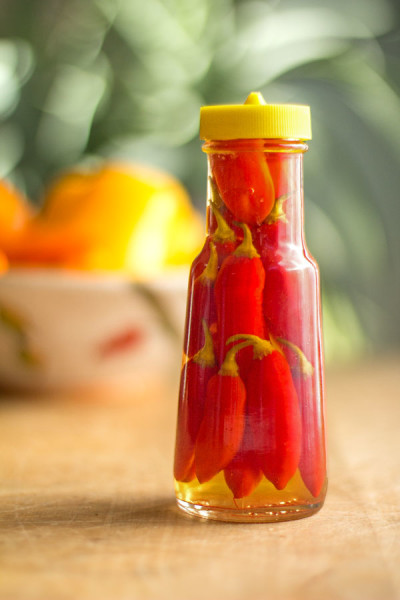 Pepper sauce made with Pimenta Reaper Peppers and olive brine #hot #Sauce @mjskitchen