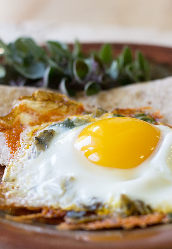 Crispy Cheesy Fried Egg with Herbs (and Green Chile) - MJ's Kitchen