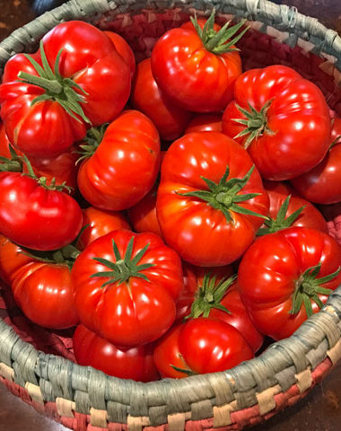 Genuwine Tomatoes - One day of picking @mjskitchen