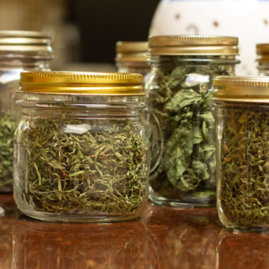 Grow your own herbs, then dry them to use year round. #herbs #drying @mjskitchen
