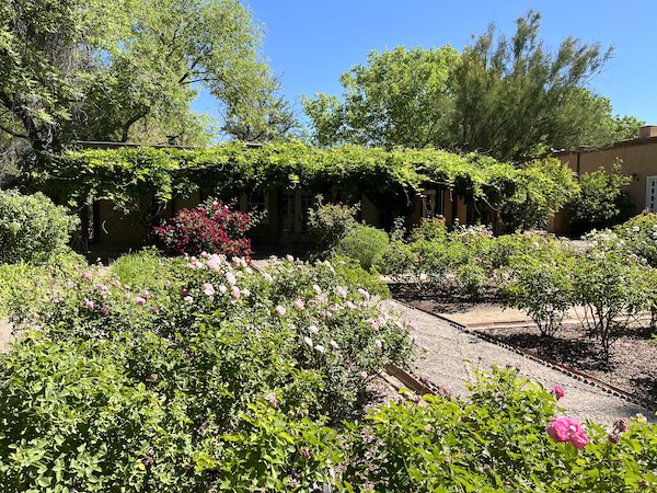 Los Poblanos, New Mexico - Greely Rose Garden #LosPoblanos #GreelyRose @mjskitchen